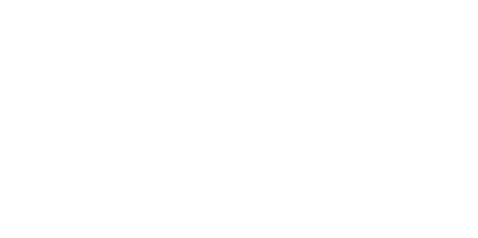 Opticon Data Swiss